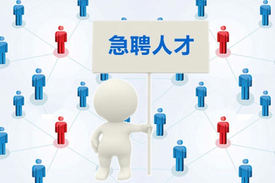 他们为什么选择从事IT行业？